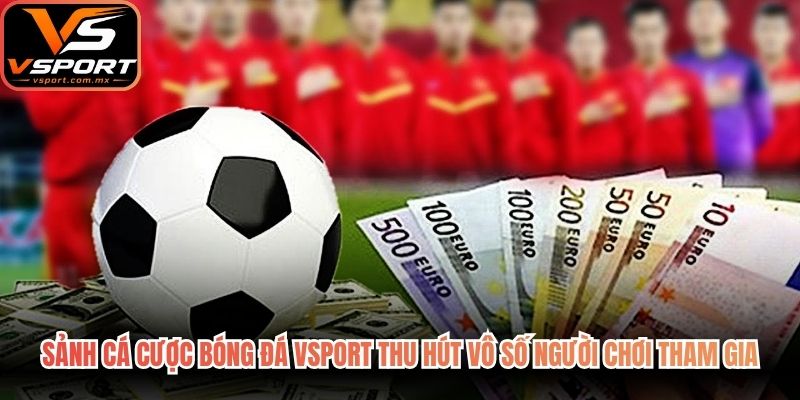 Sảnh cá cược bóng đá VSport thu hút vô số người chơi tham gia