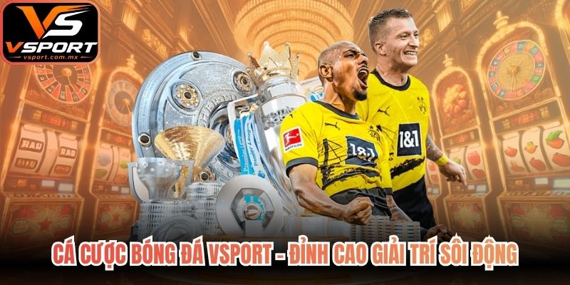 Cá Cược Bóng Đá VSport