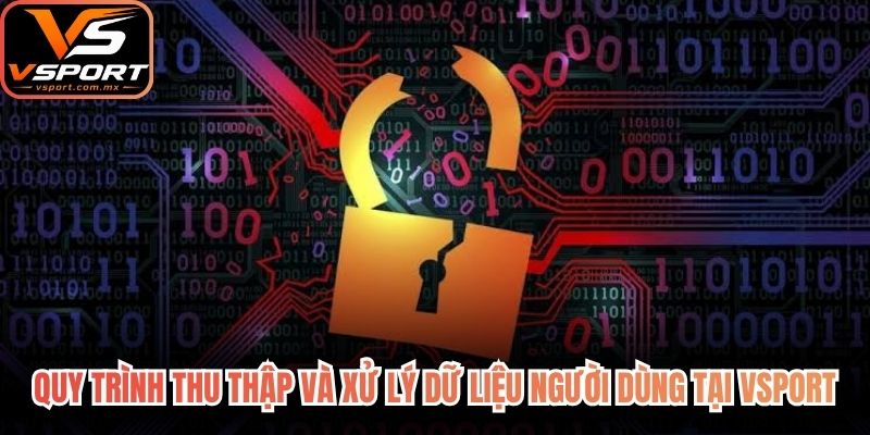 Quy trình thu thập và xử lý dữ liệu người dùng tại VSport