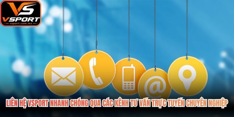 Liên hệ VSport nhanh chóng qua các kênh tư vấn trực tuyến chuyên nghiệp